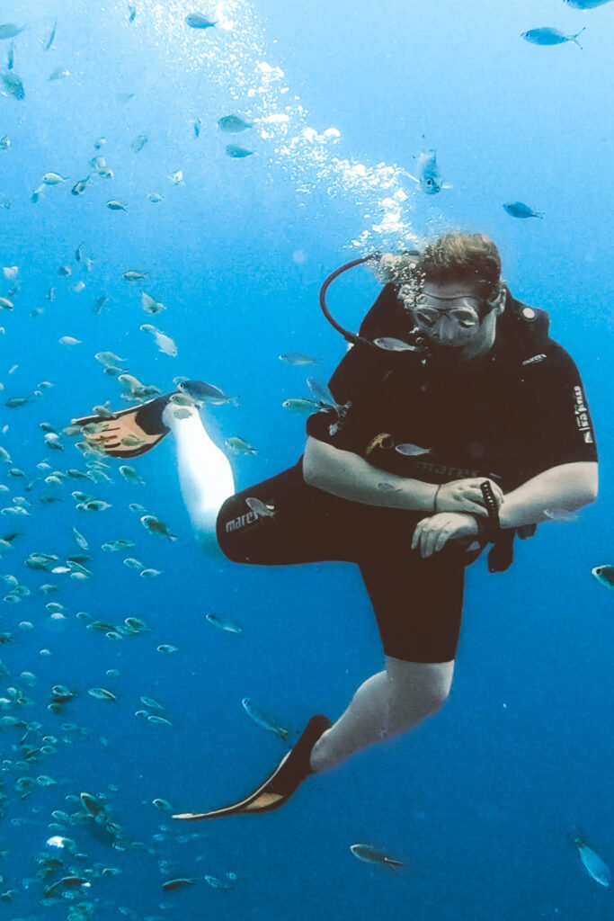 Diving Profil