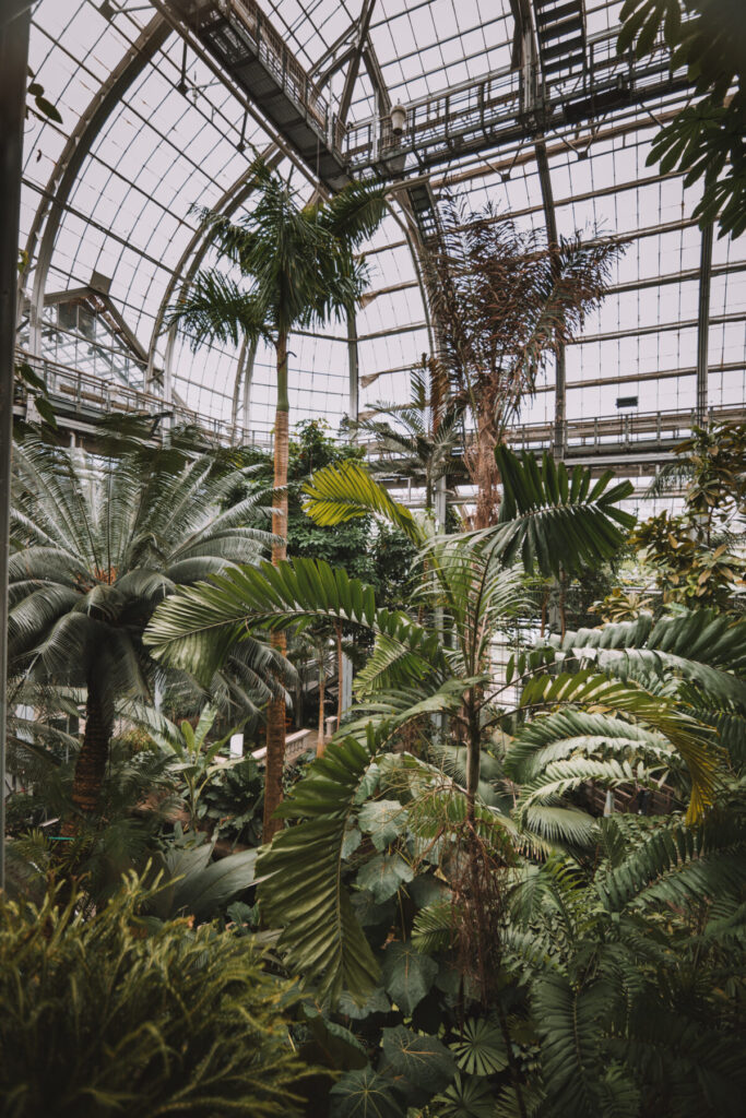 Washington-Botanik-Garden